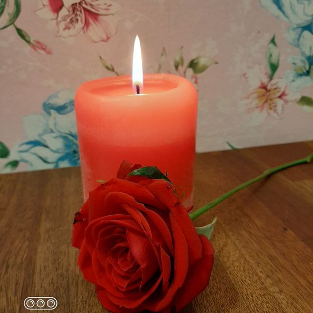 Kynttilä ja ruusu